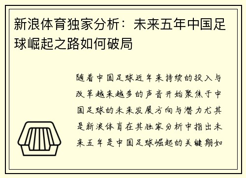 新浪体育独家分析：未来五年中国足球崛起之路如何破局